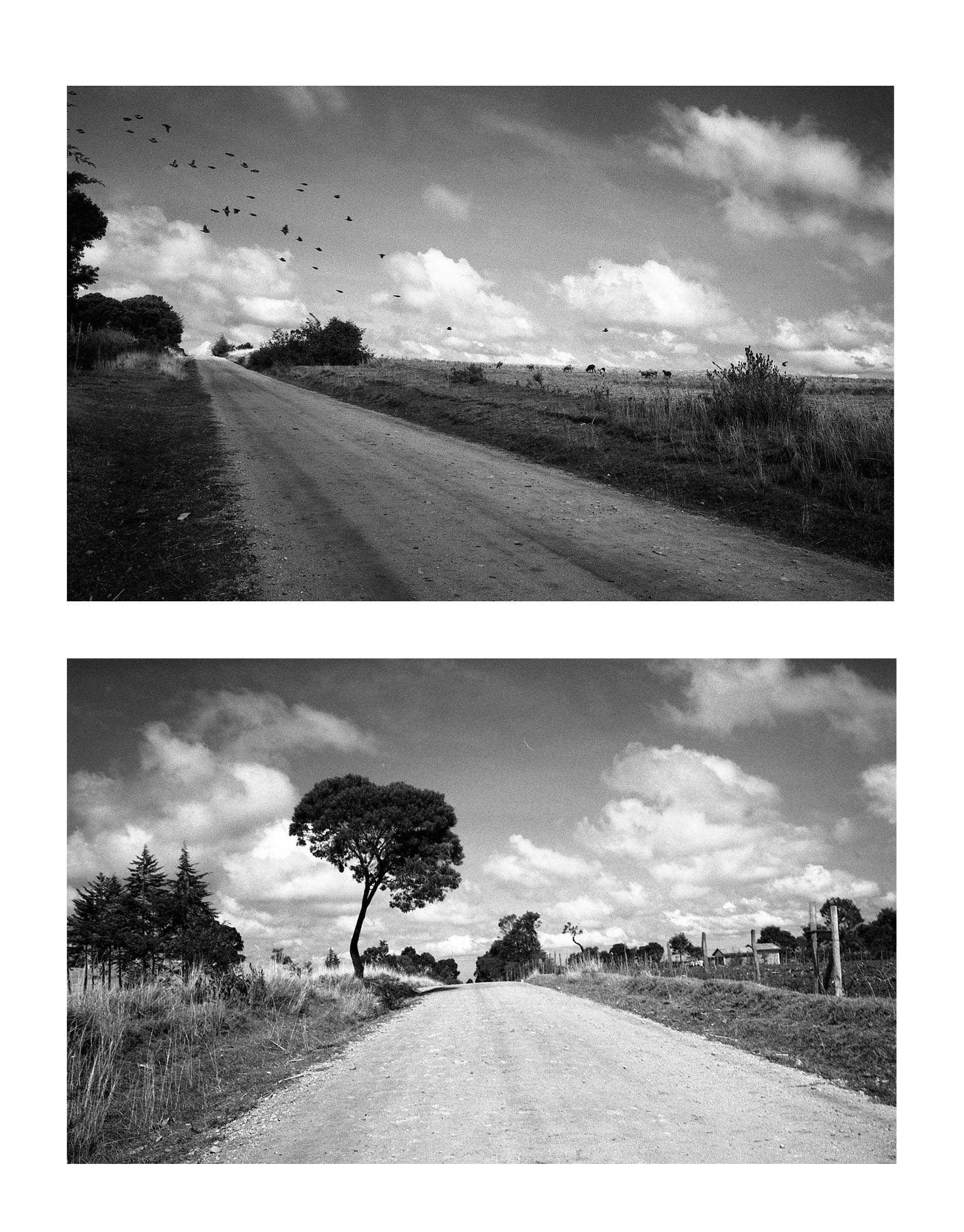 Alex John Beck // travels in the high-altitude running capital of the world, Iten, Kenya